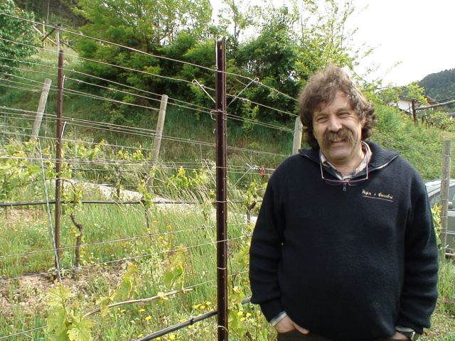 Mario Pojer