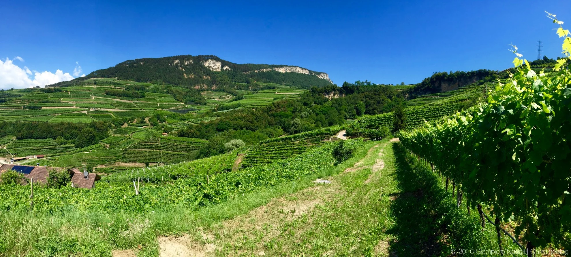 Vigne a Giovo, Valle di Cembra