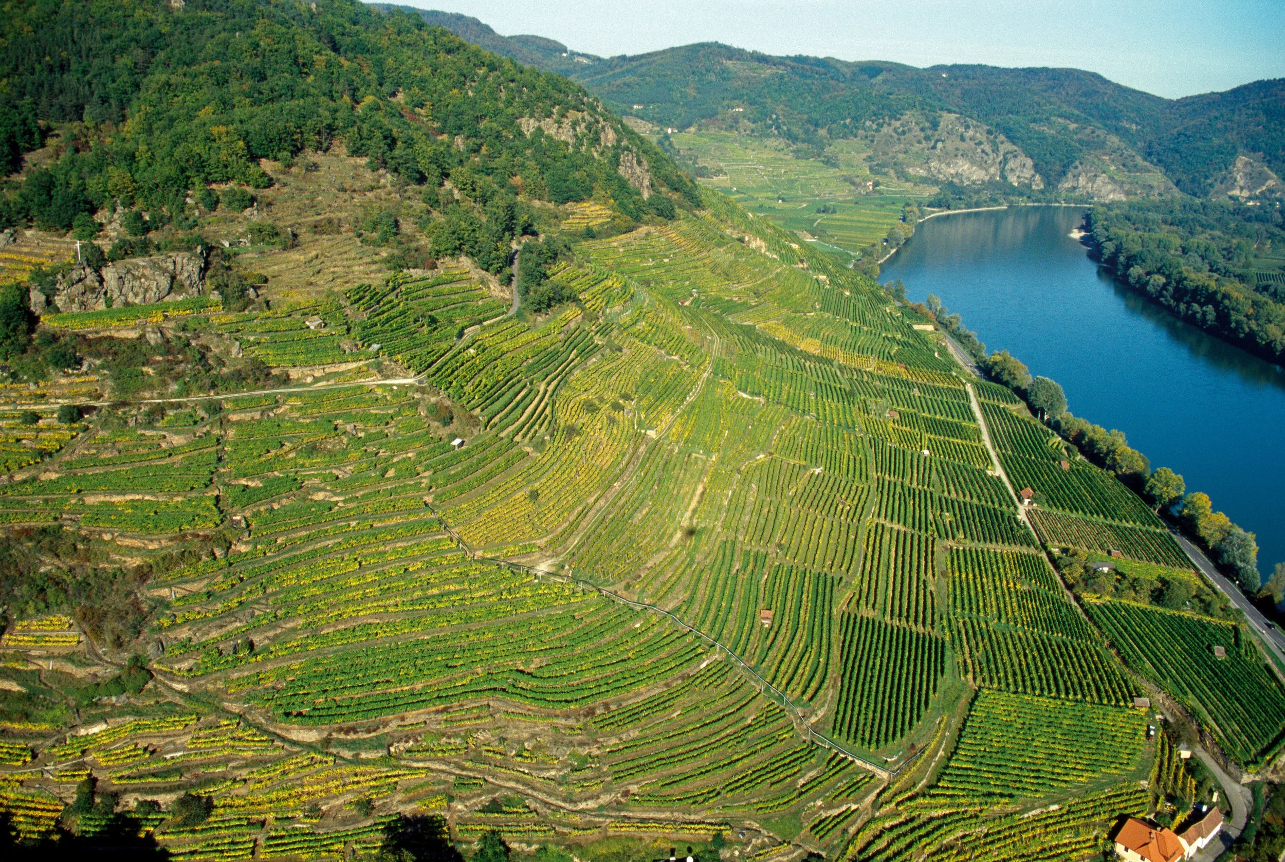 Il cru Achleiten, Weissenkirchen, nella regione Wachau in Niederösterreich Copyright: © AWMB / Gregor Semrad
