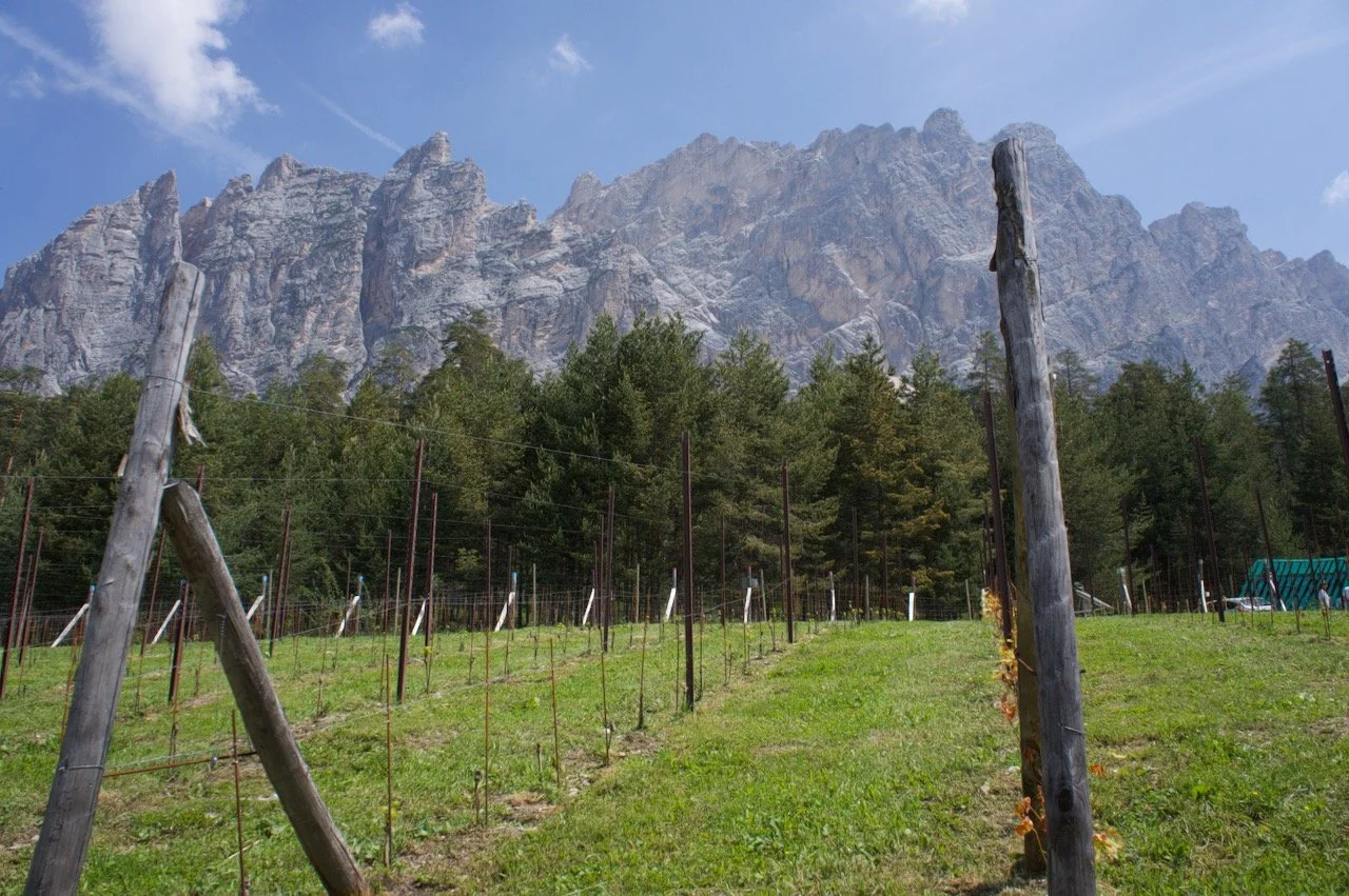 Vigna 1350, Cortina d'Ampezzo (3).jpeg