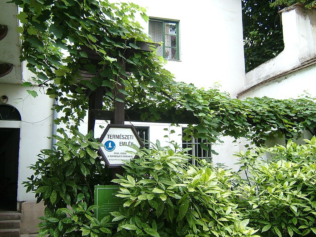 Isabella - Bécsi kapu tér, Budapest, Ungheria