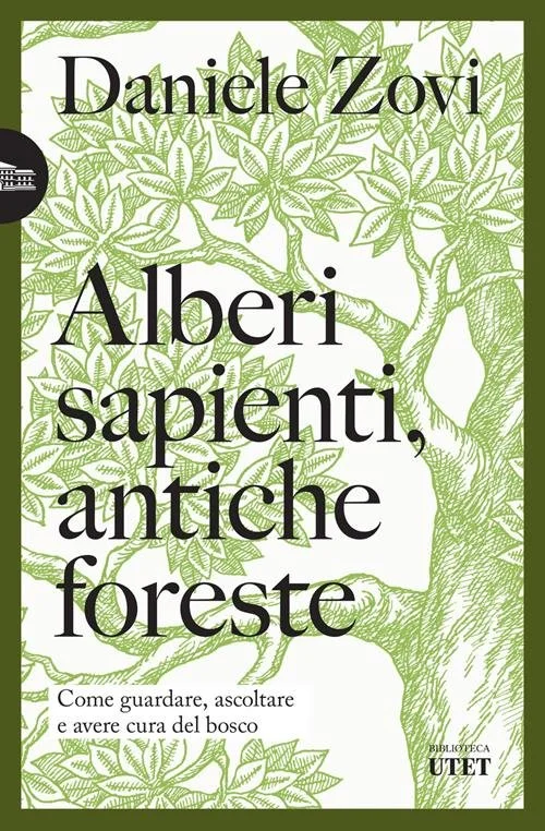 Ascoltare il respiro del bosco