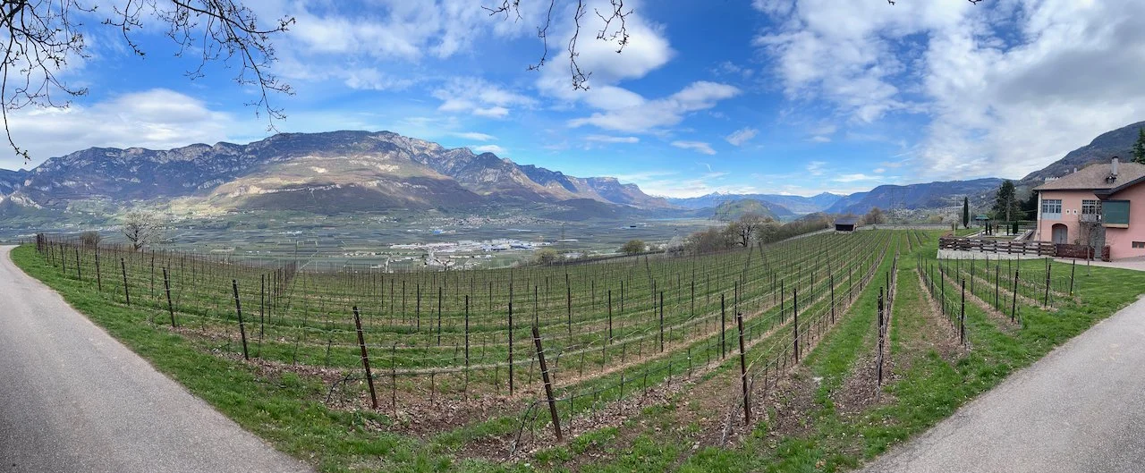 Hofstätter - Barthenau, Mazon.jpeg