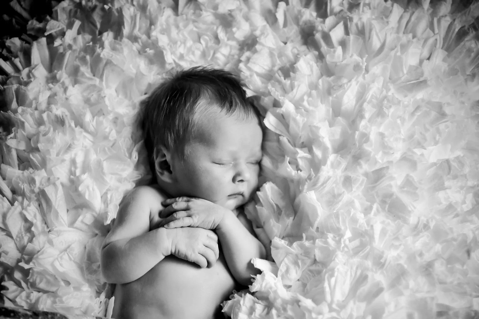 IMG_7957-Edit-Edit-X3.jpg