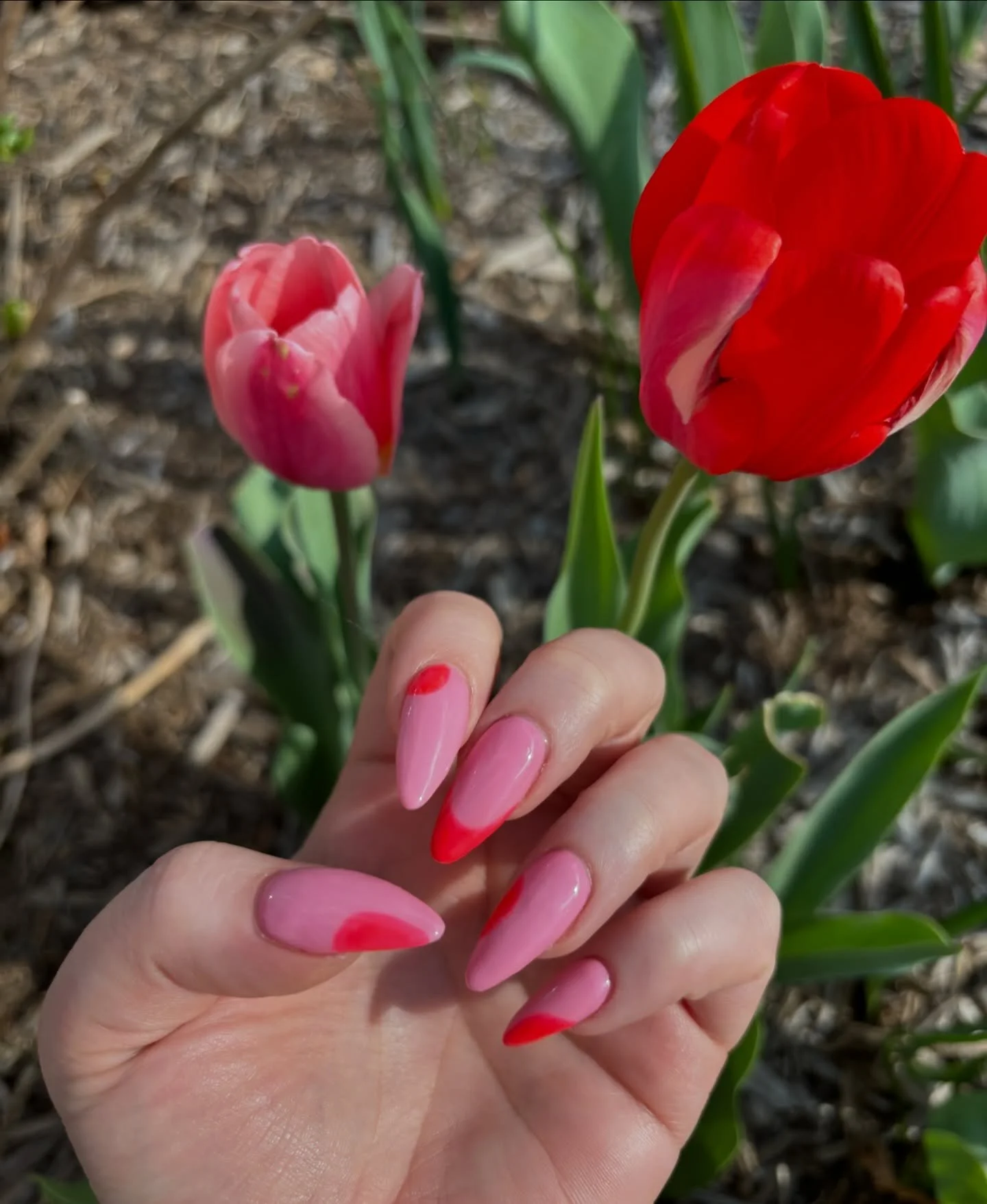 Matched my nails to my garden 🌷 @jossynails_