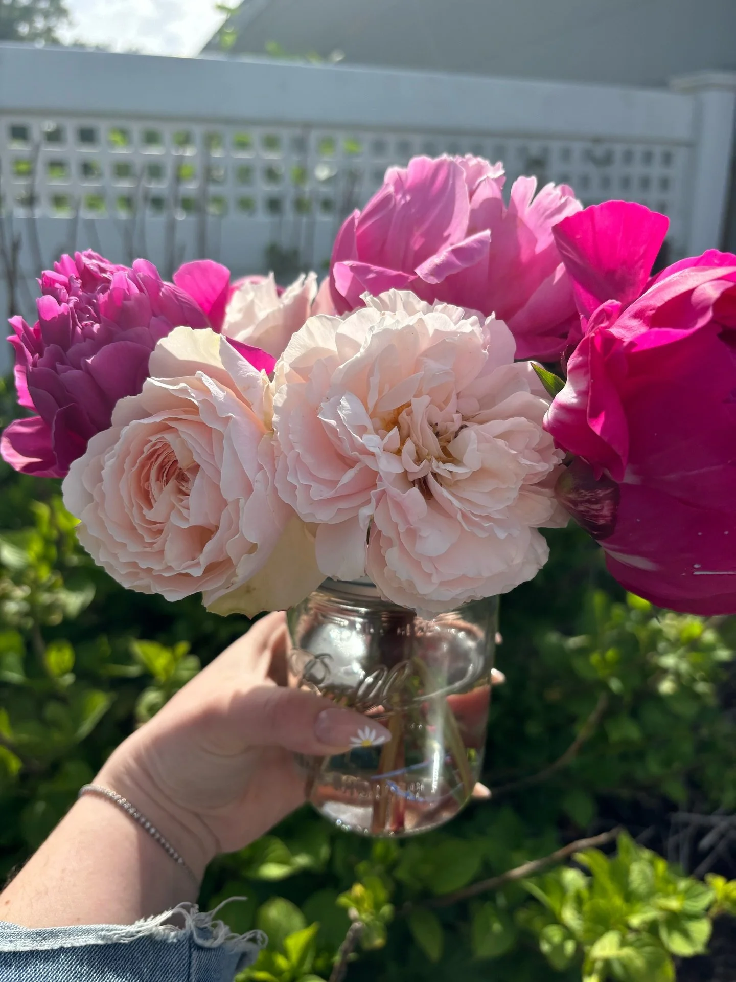 The prettiest week of the year ✨ cut lots of peonies to share with some wonderful people I know&hellip; wisteria season is just around the corner!!