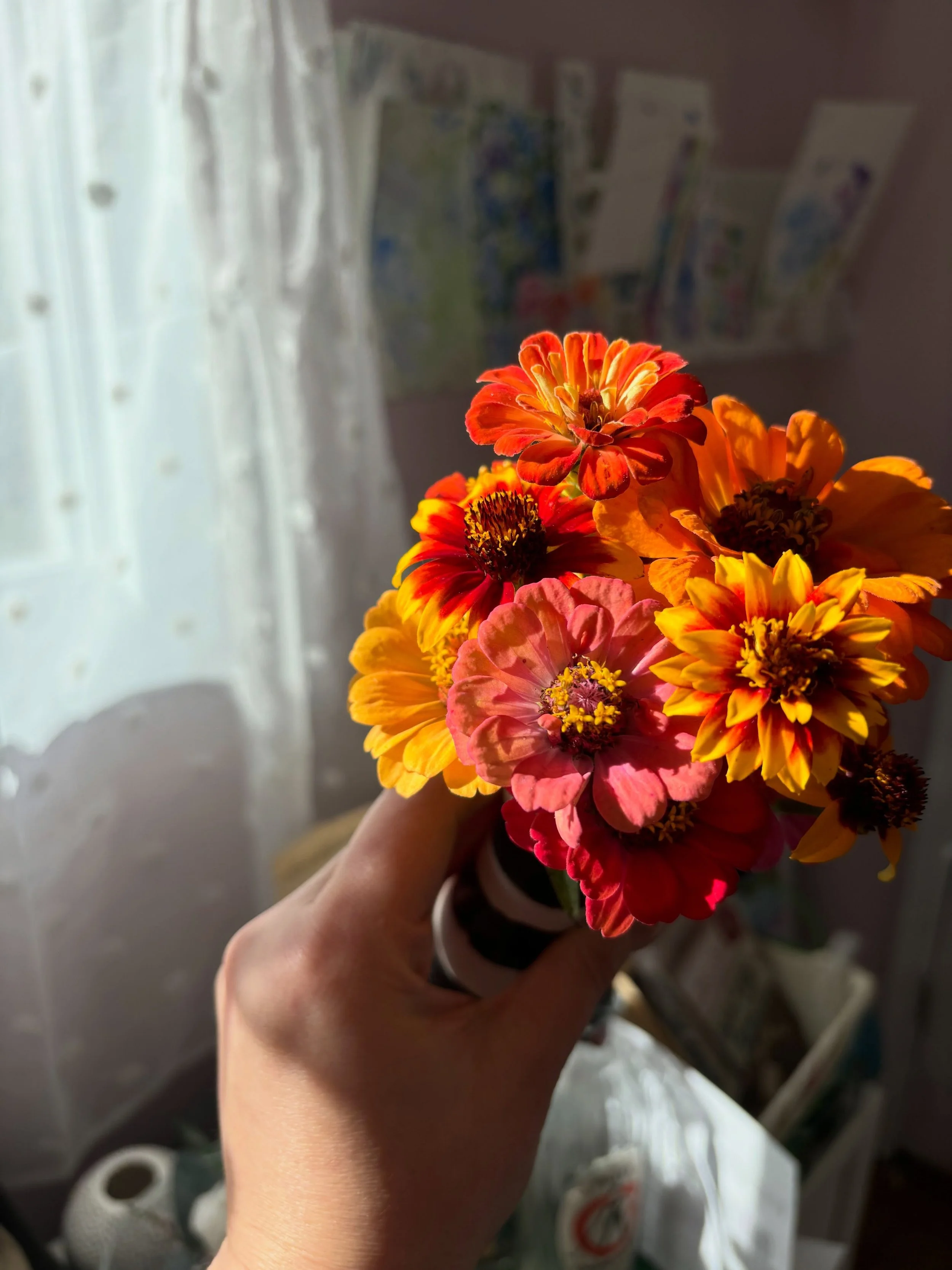 Last harvest of the year ✨