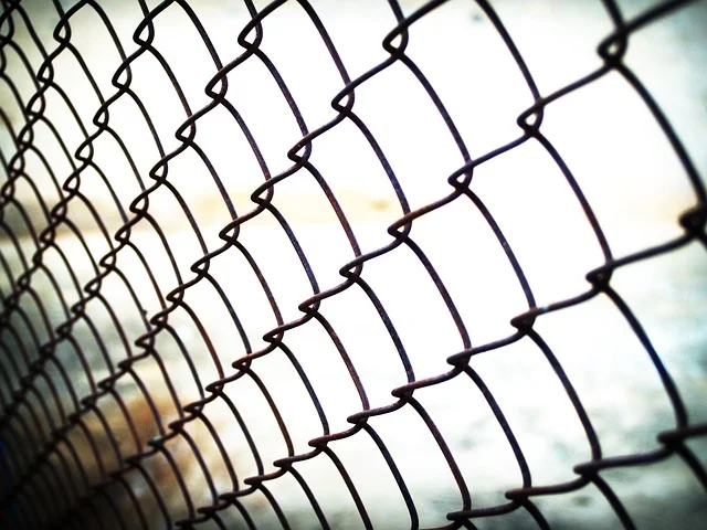 Fence.jpg