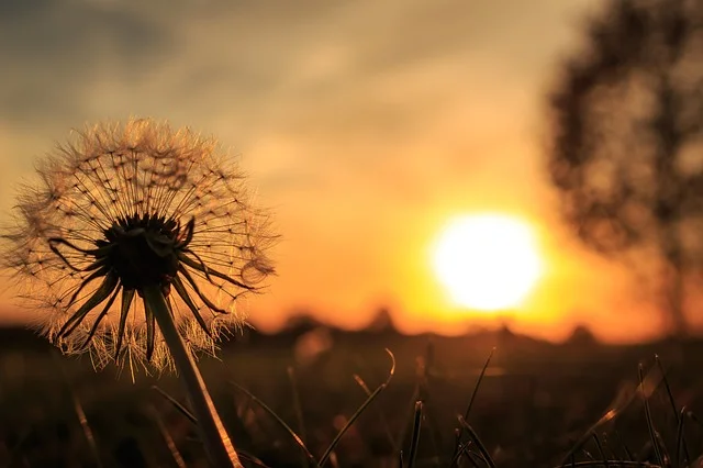 Sunset.jpg