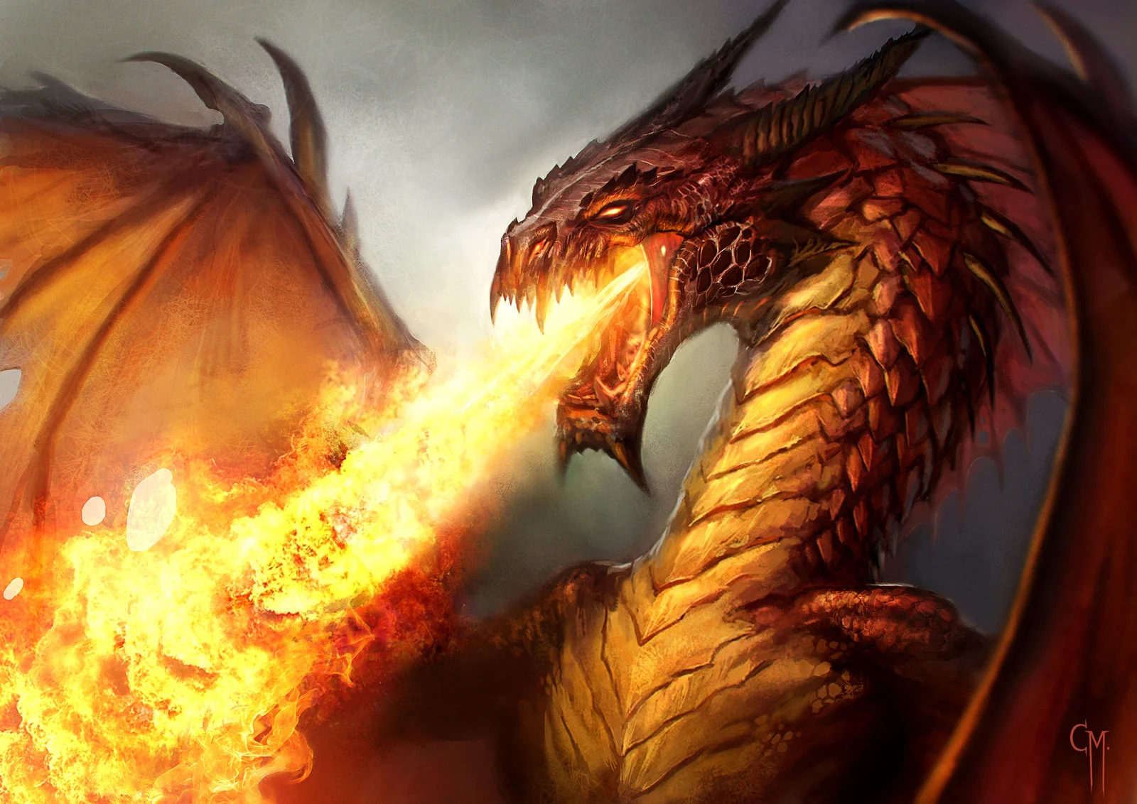 314224-red-dragon.jpg