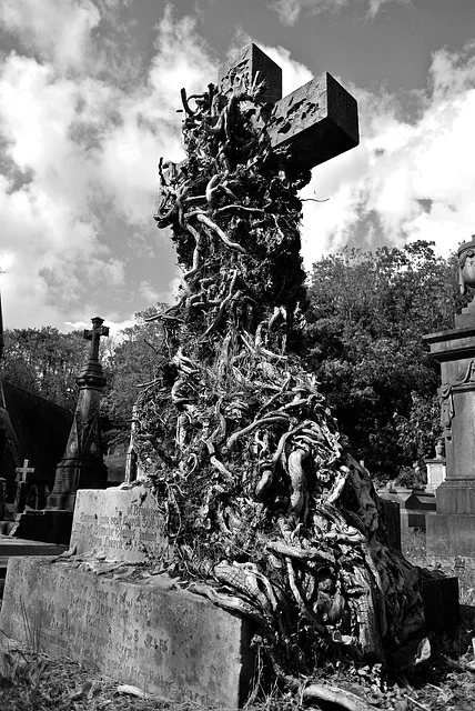 Cemetery 2.jpg