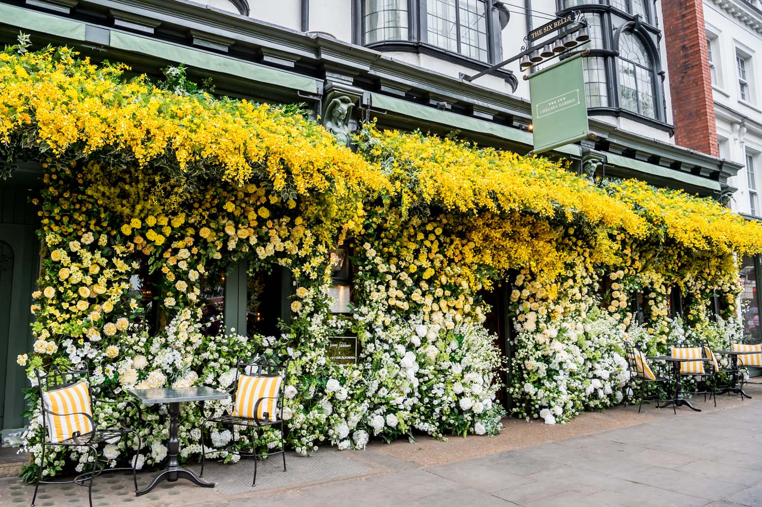 IVY_04.jpg