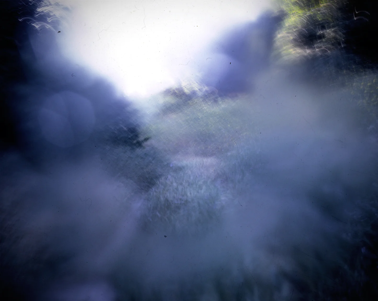 soft grass.jpg