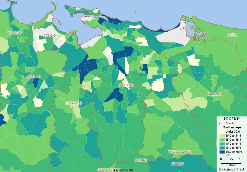Median Age.jpg