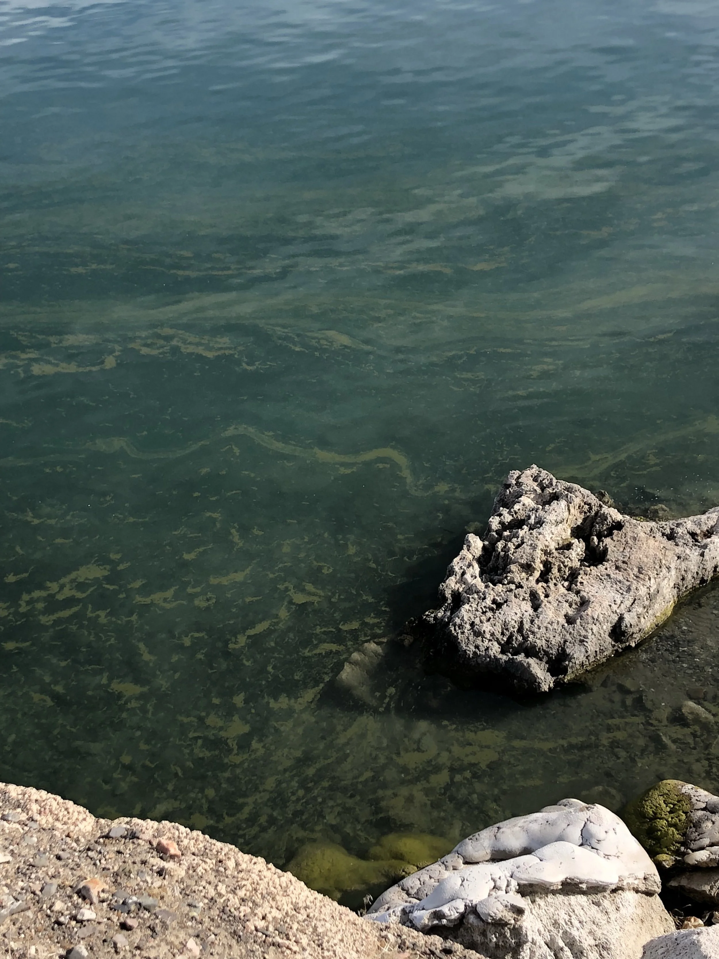 Lakes turning over Photo By: Casey Anderson