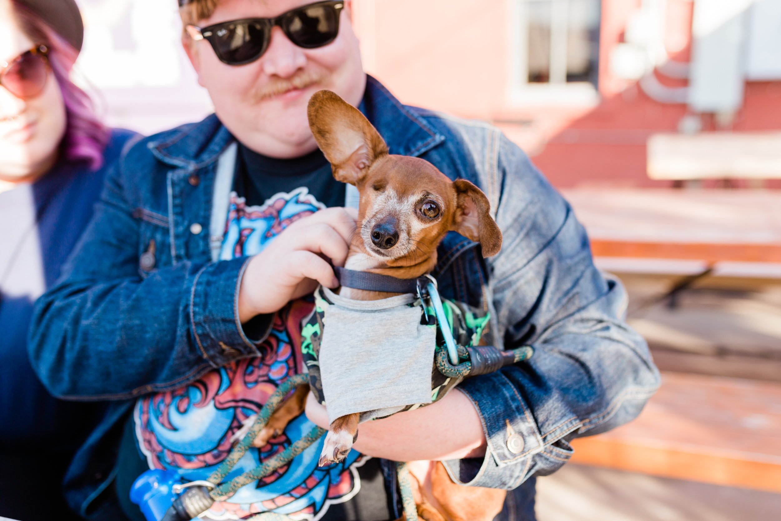 unsplash-image-g5FRvYh7ES4.jpg
