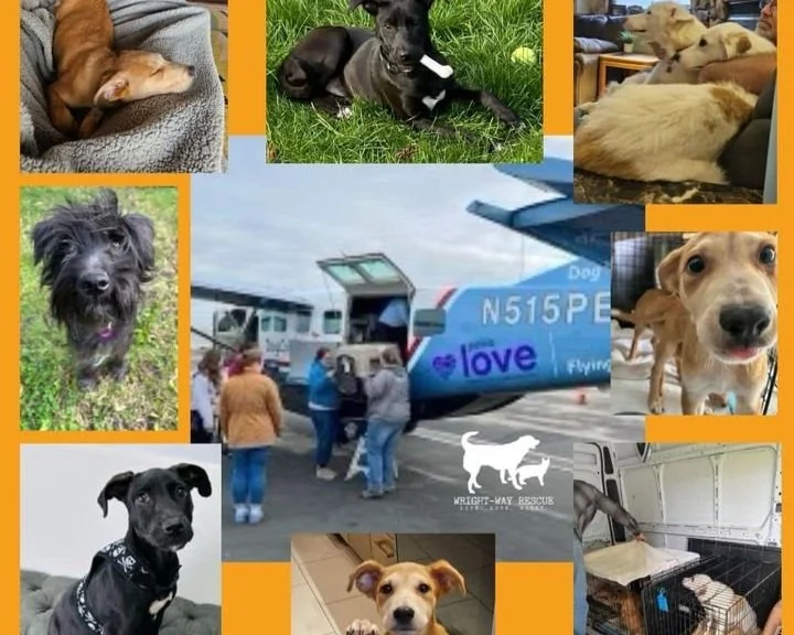 Your Kindness Saved These Six Lives!