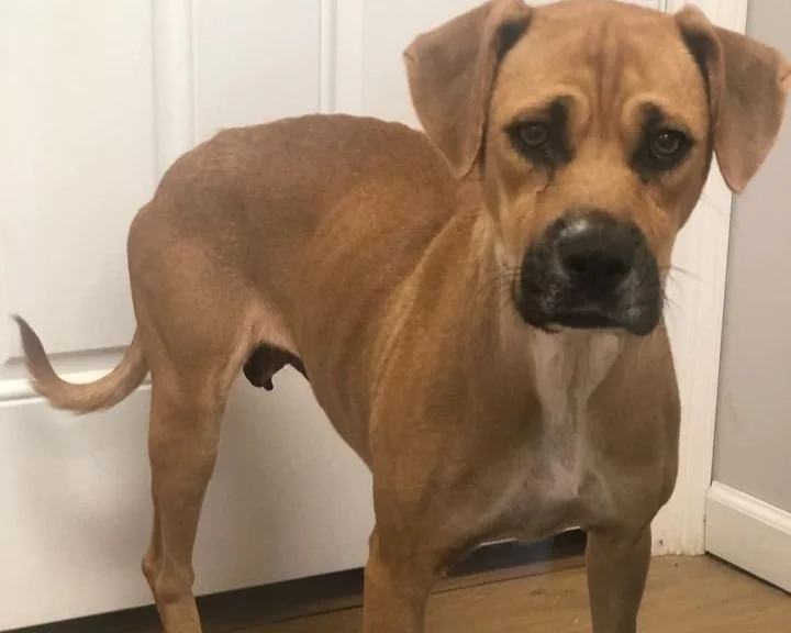 Josie: UPDATE