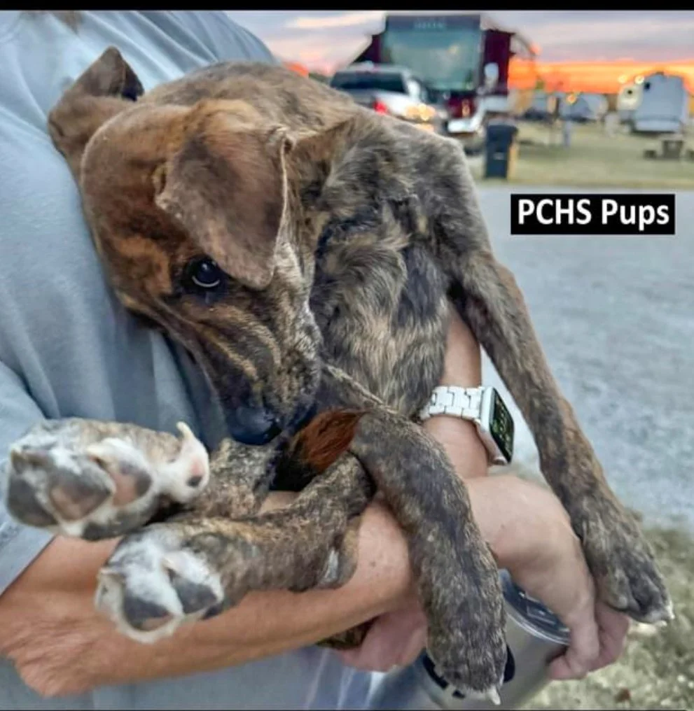 Marvin from Mississippi