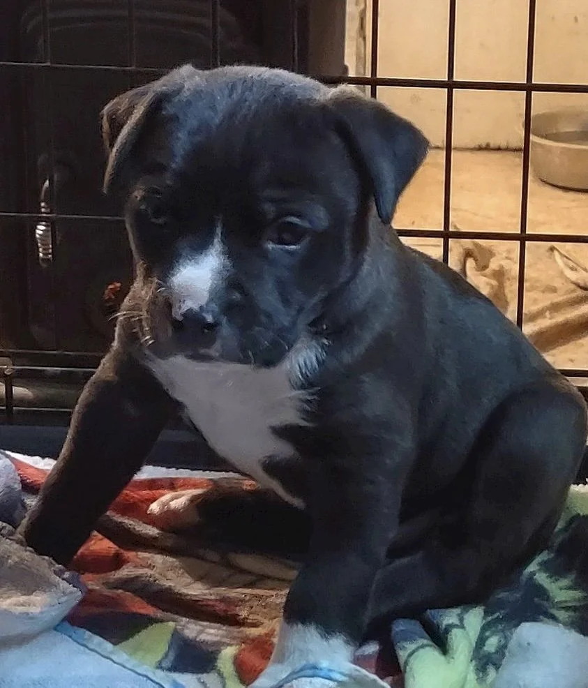 Abandoned on the road in Arkansas