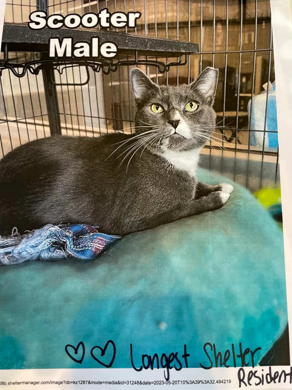 Scooter from Louisiana 