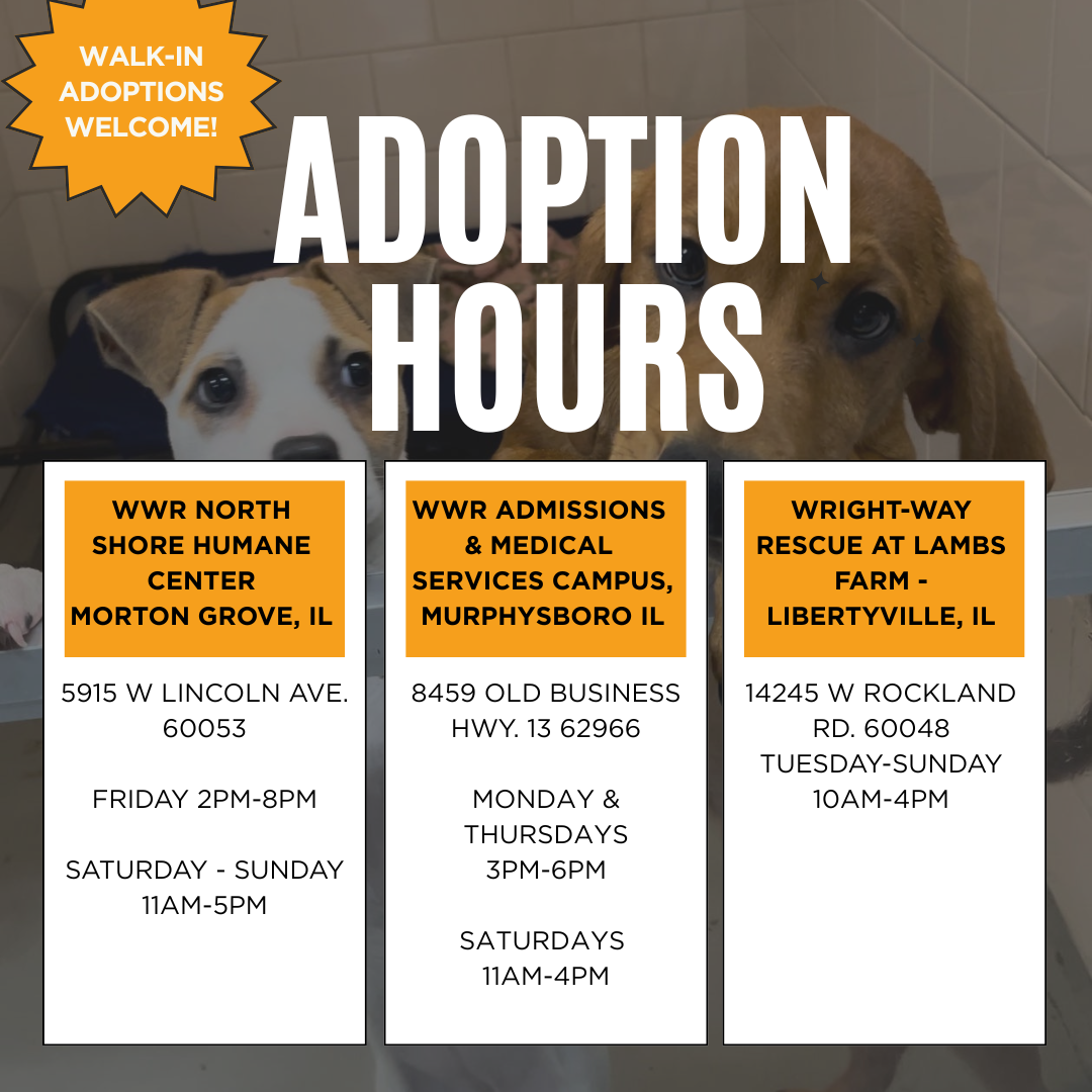 FACILITY HOURS.png