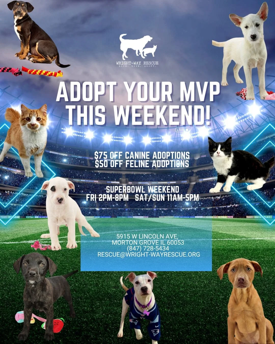 Morton Grove MVP.jpg