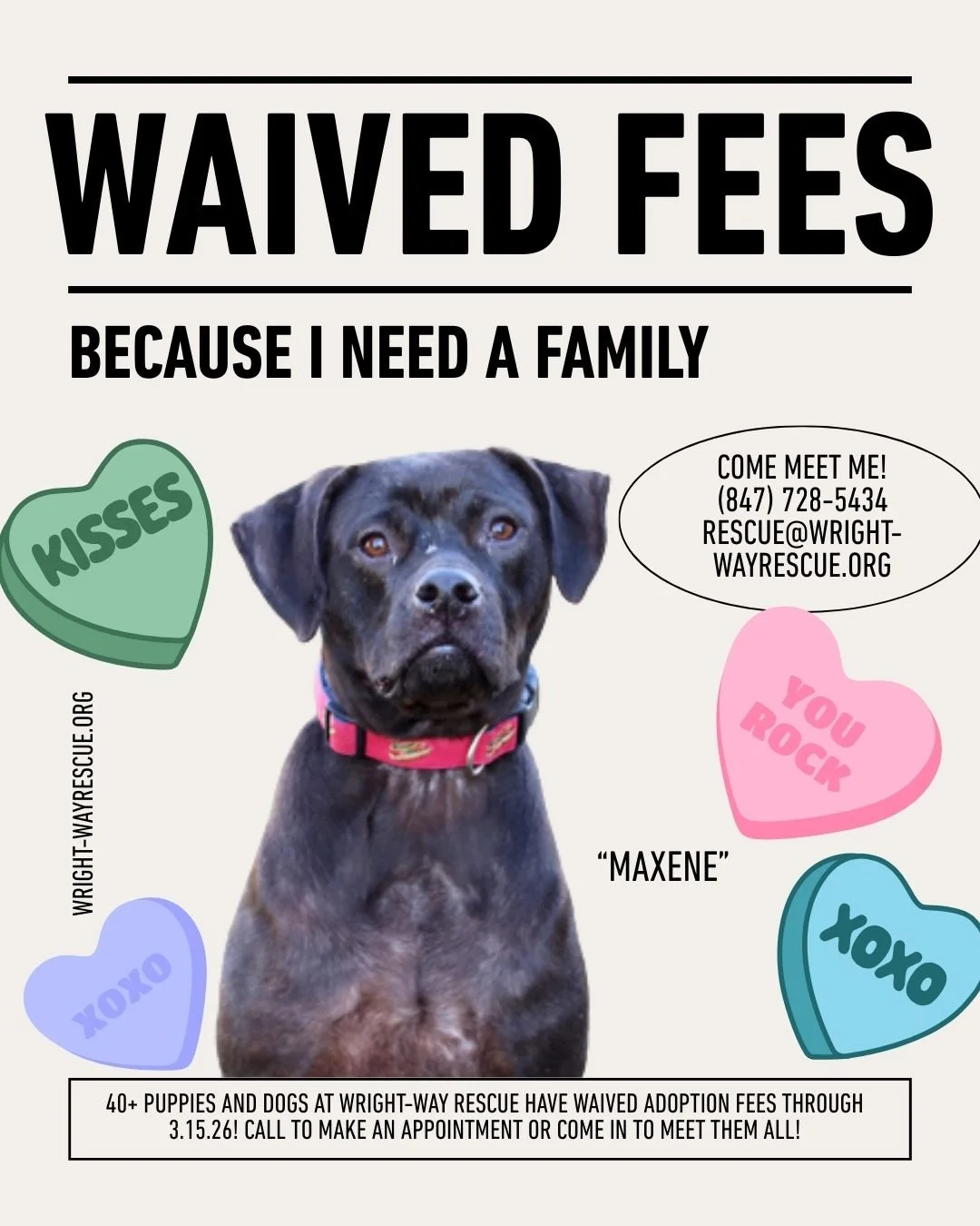 FebMarch Waived Fee Event.jpg