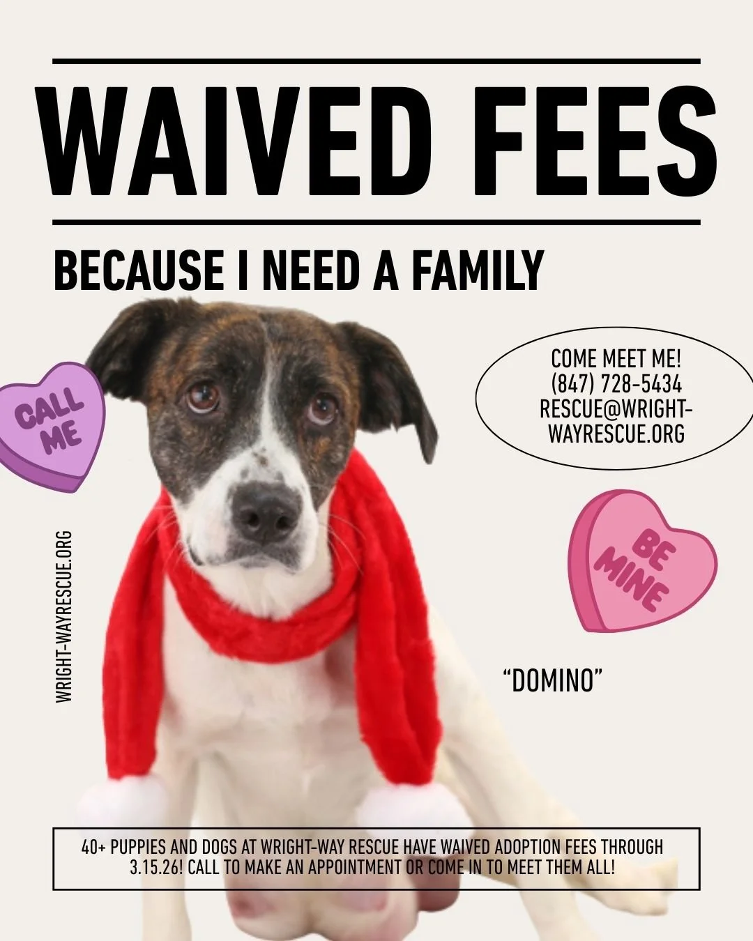 FebMarch Waived Fee Event-2.jpg