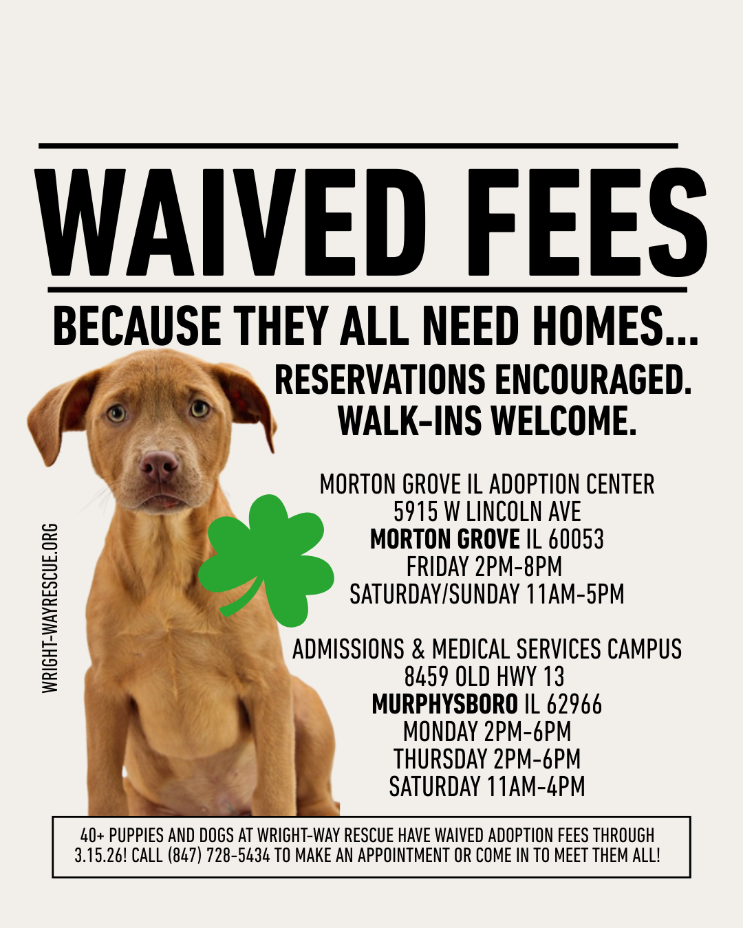 WAIVED FEES Shamrock.png