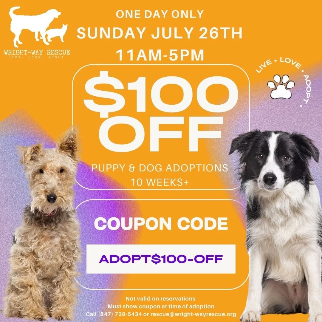 Adoption Coupon 100 off-4.jpg