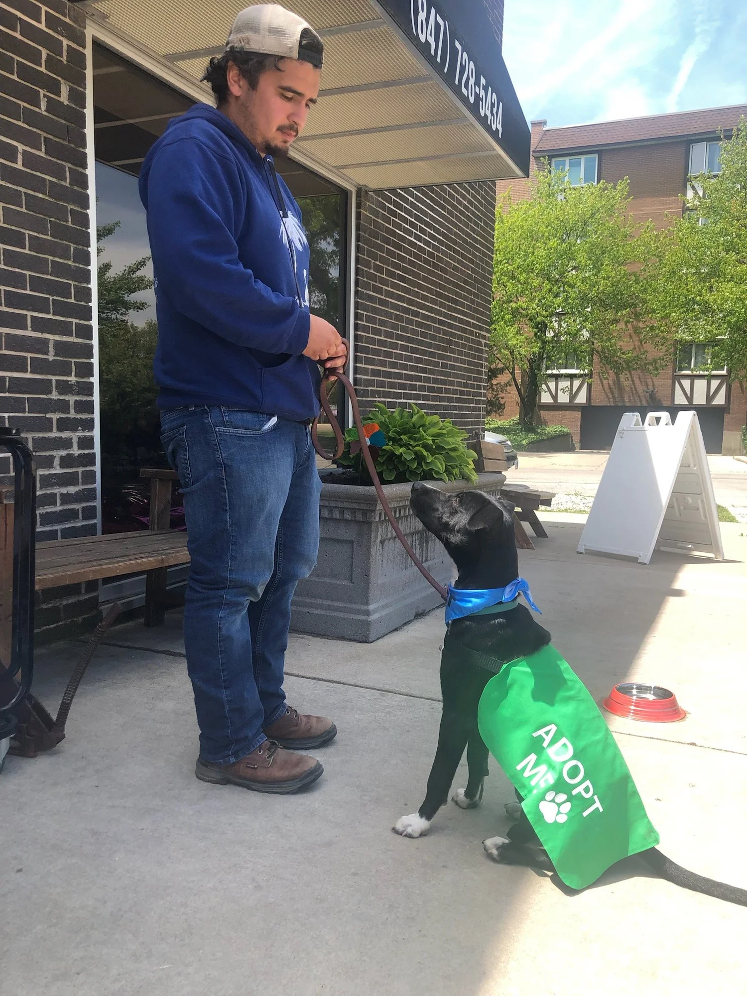 Adoptable Pets — Wright-Way Rescue