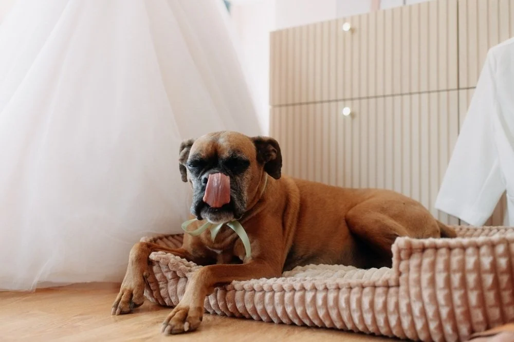 jidlo_na_svatbe_fotograf_vita_malina 5.jpg