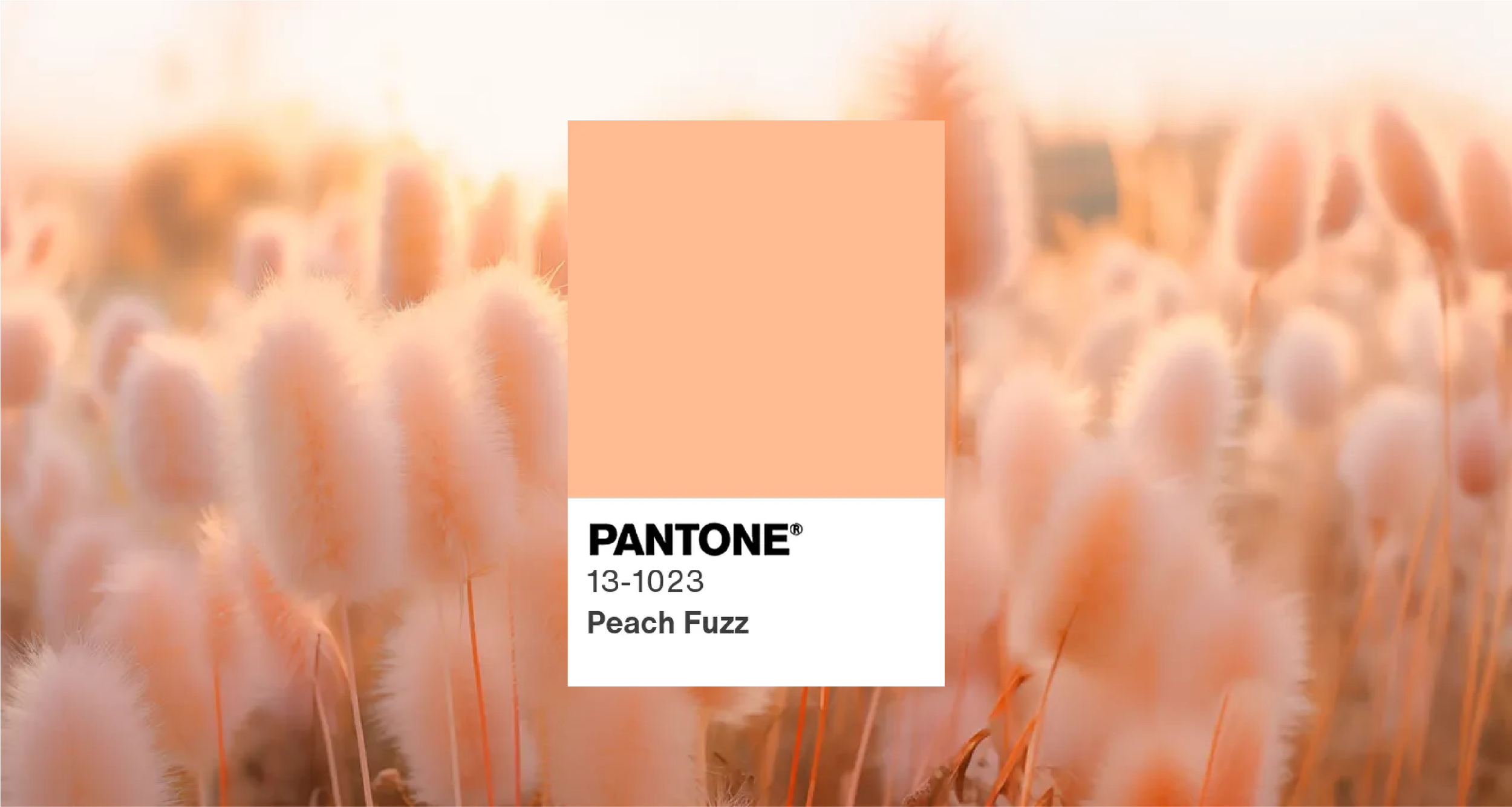 Get Inspired by Pantone's Controversial Color of the Year
