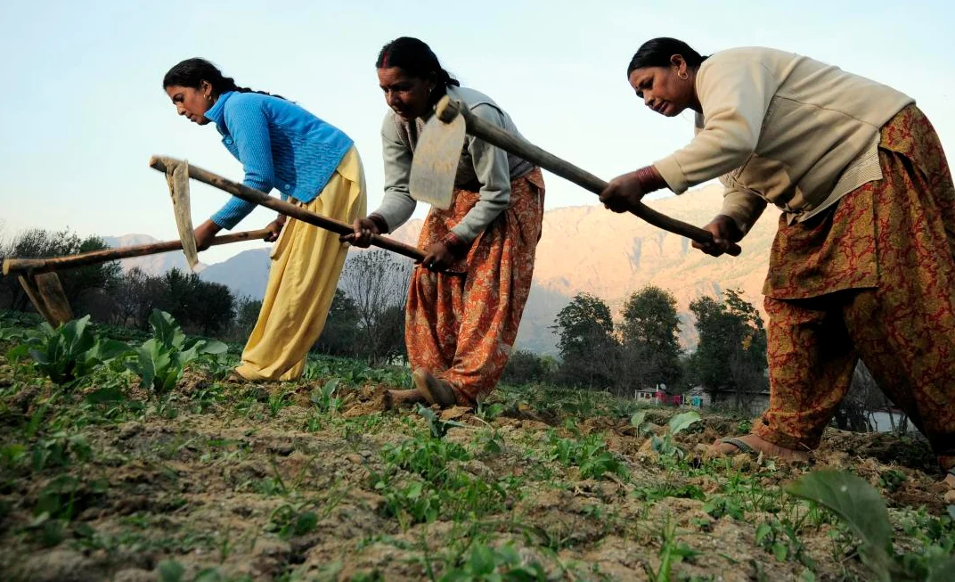 india-women-tilling-earth.jpg