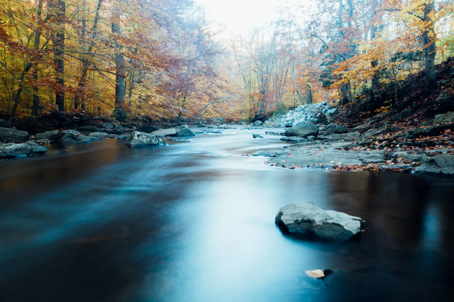 jmestre_photography-33.JPG