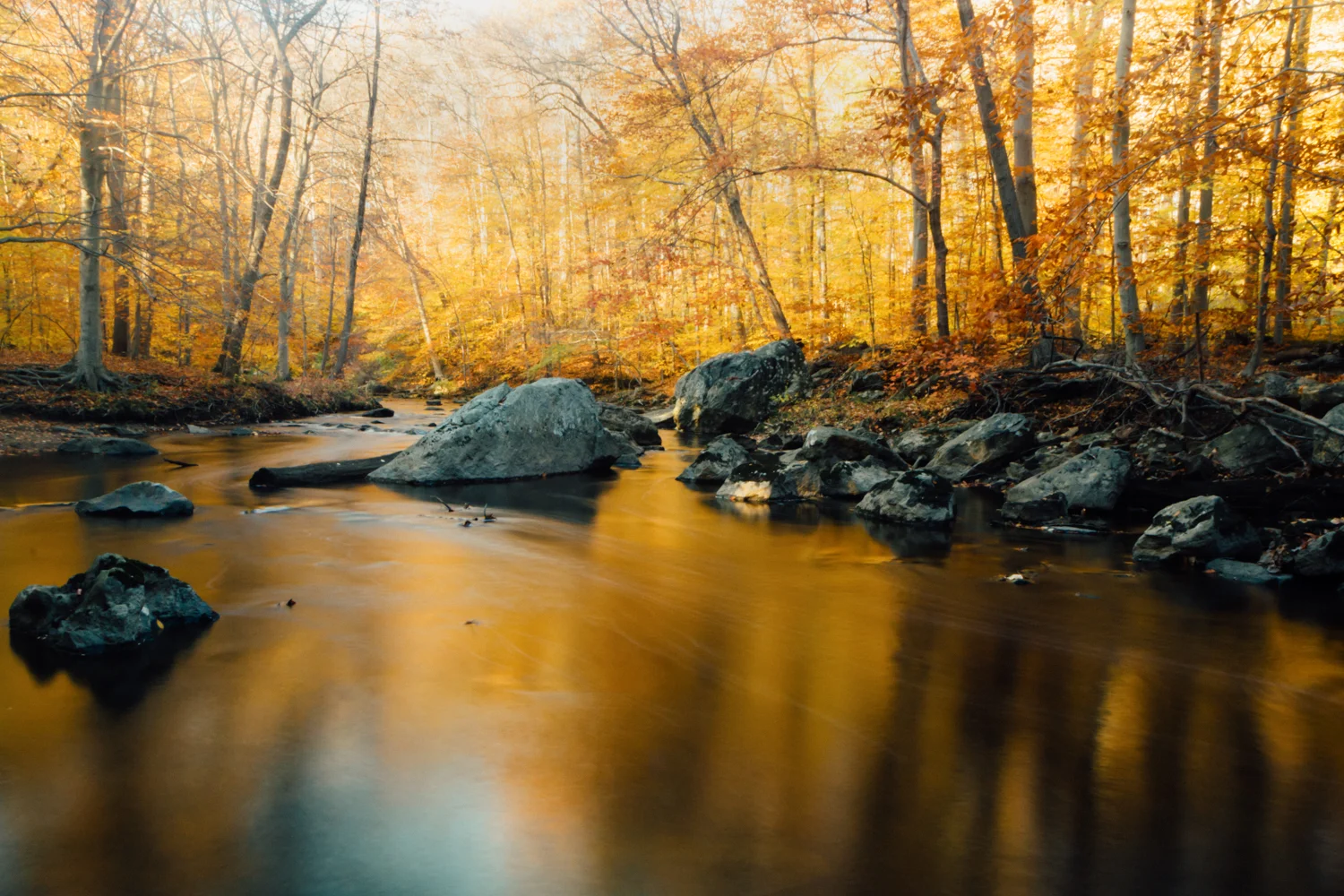 jmestre_photography-32.JPG