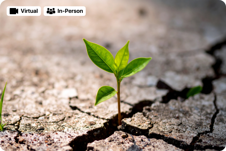 Resilience &amp; Mental Strength: Build Your Invisible Armor