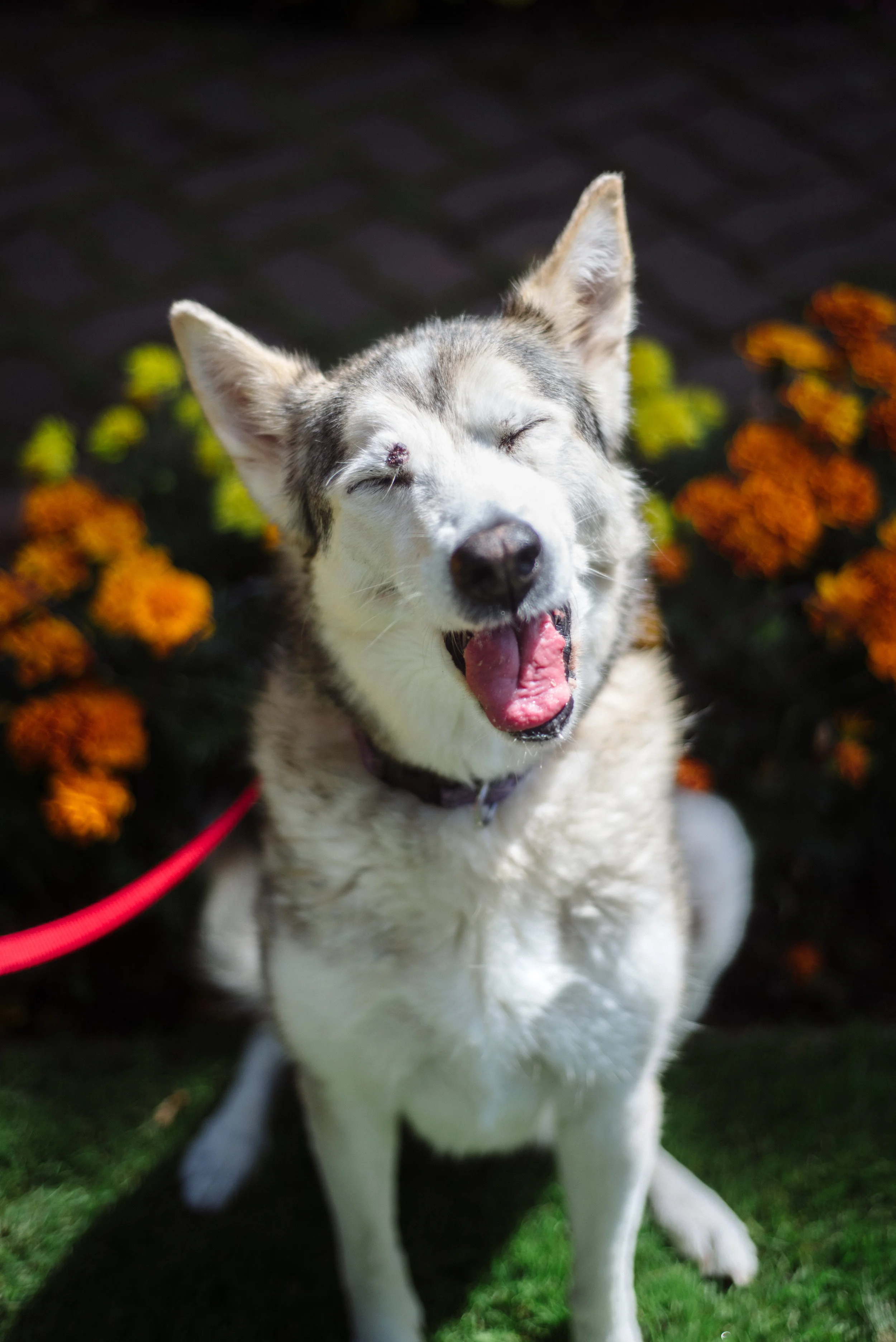 Rapinchuk_Jada_19-08-27.jpg