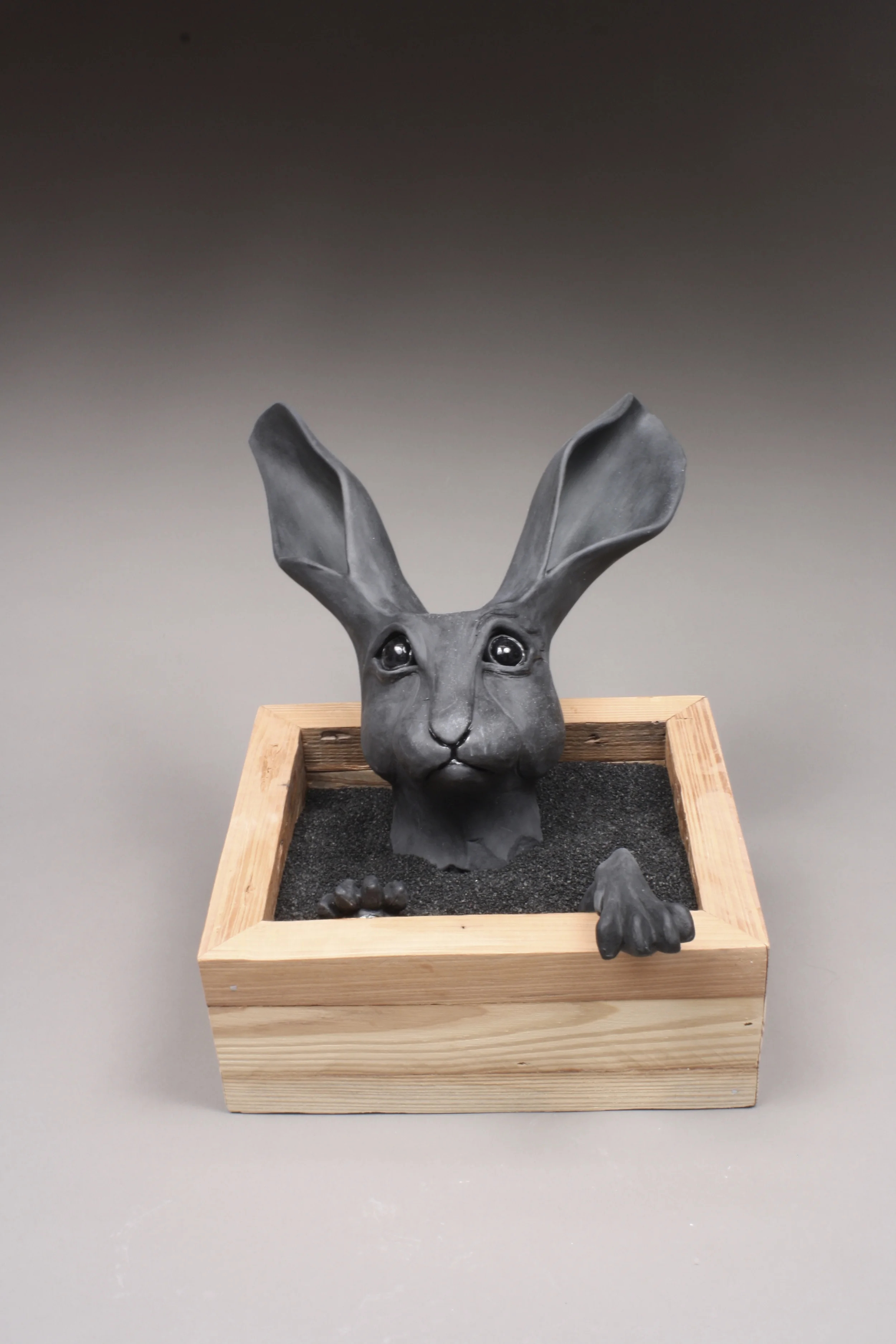 Reclamation of Alice