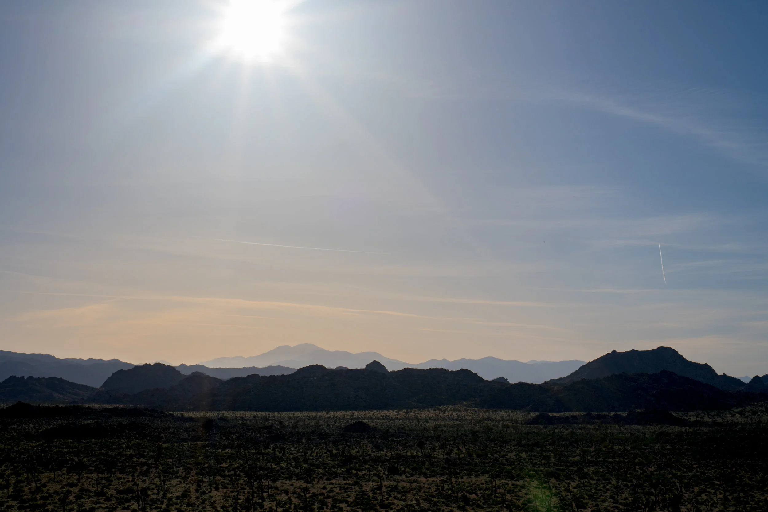 DSC03313.jpg