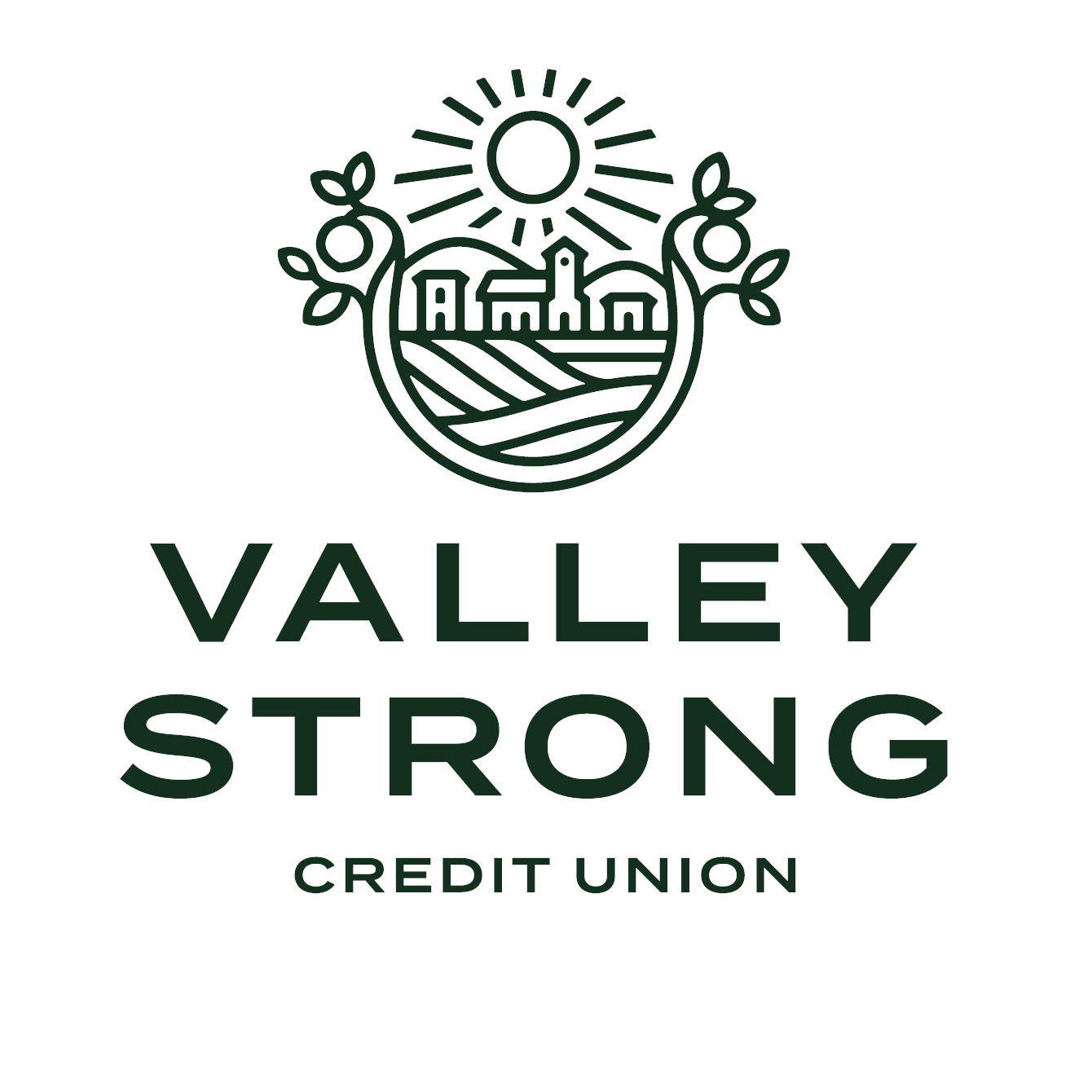Valley-Strong-Credit.png