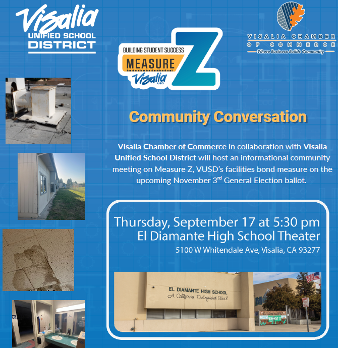 Measure Z Flyer