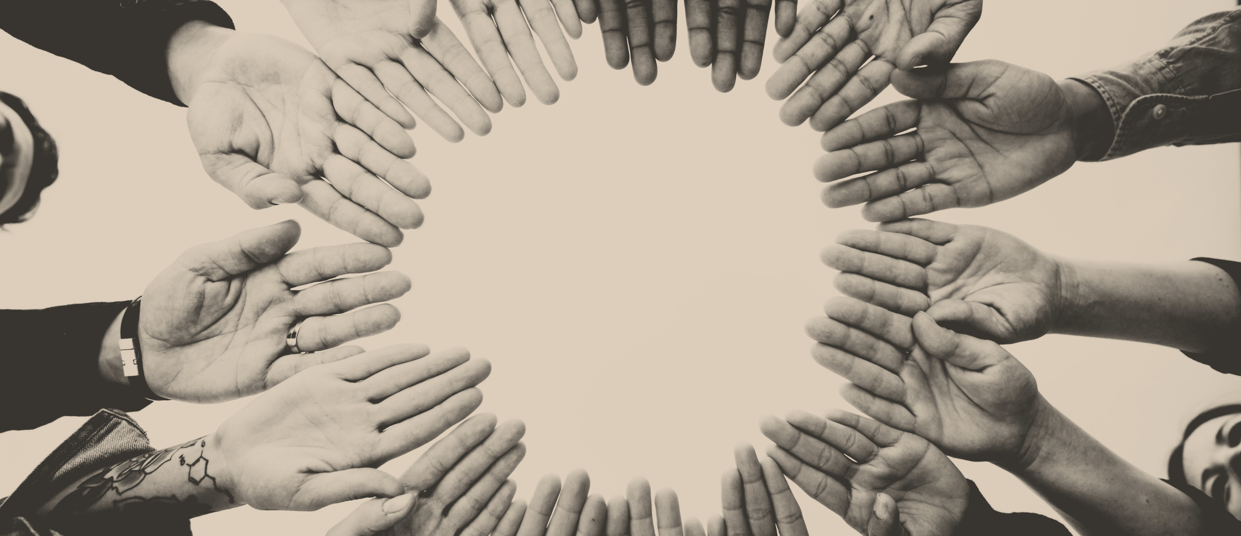 squarespace-header (4).png