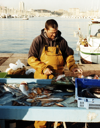 MARSEILLES FISHERMAN