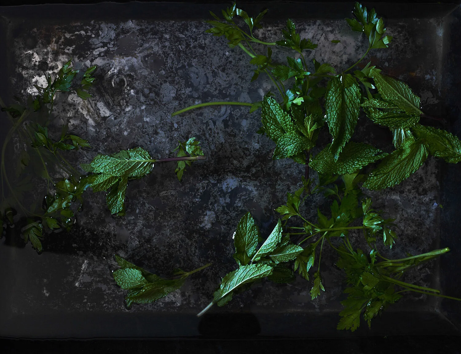 RB_Food-54.jpg