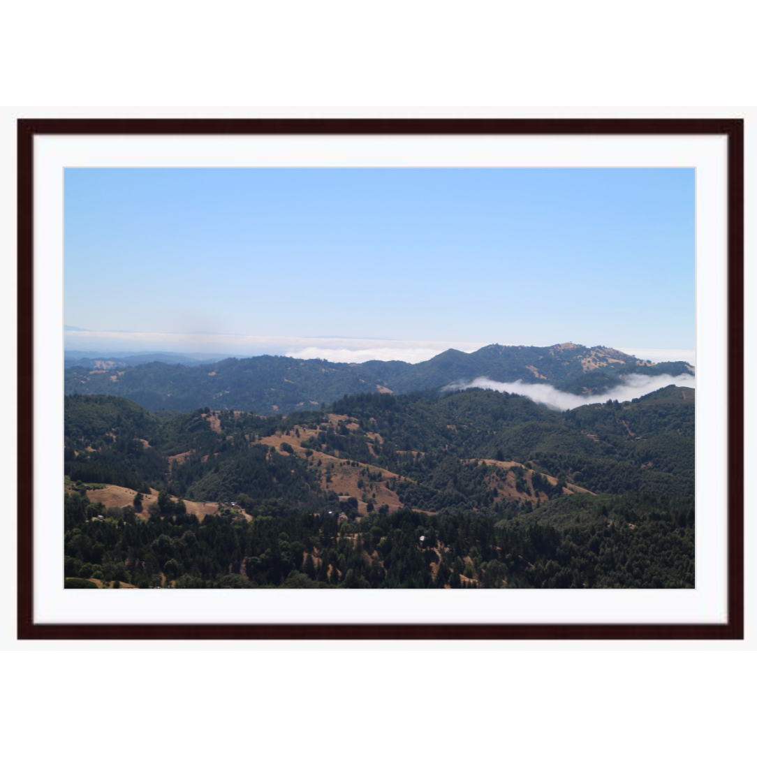 "The Fog" photo with dark brown wood frame by Emily Roggenburk.