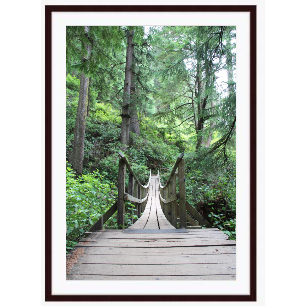 Copy of "Adventure Awaits" photo with dark brown wood frame by Emily Roggenburk.