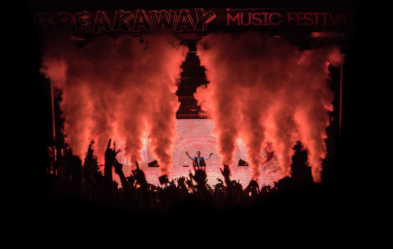 Zedd.jpg
