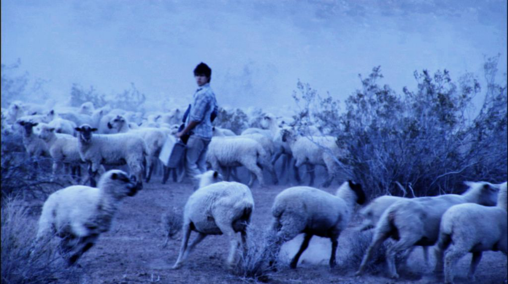 Screen Shot 2016-04-30 at 9.01.20 AM.png